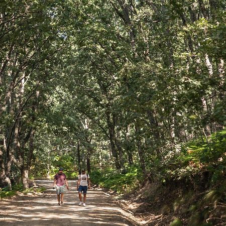 Casa Rural La Nava 纳瓦伦加 外观 照片